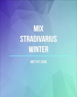 Купить STRADIVARIUS Winter mix#15 кг, ЛОТ №2256 оптом в Черкесске и Карачаево-Черкесской республике