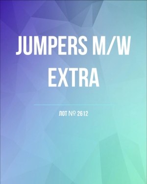 Купить Джемпер муж+жен экстра#15 кг , Лот№2612 оптом в Черкесске и Карачаево-Черкесской республике