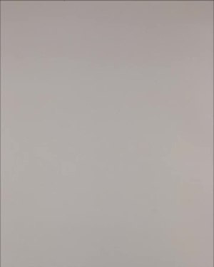 Фотография  885 - Нижнее белье Bon Prix дети#50 шт, ЛОТ №3242 оптом в Черкесске и Карачаево-Черкесской республике