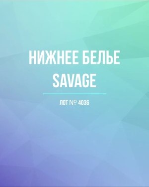 Купить Нижнее белье Savage#50 шт, ЛОТ №4036 оптом в Черкесске и Карачаево-Черкесской республике