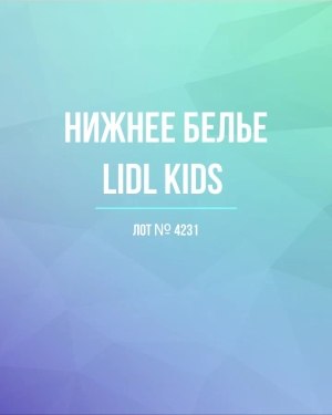 Купить Нижнее белье LIDL Kids#5 кг, ЛОТ №4231 оптом в Черкесске и Карачаево-Черкесской республике