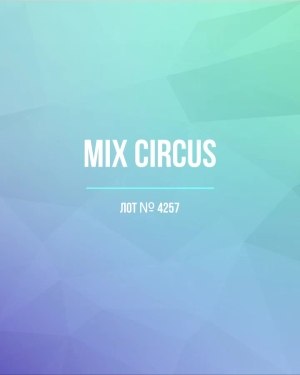 Купить CIRCUS mix #13 кг, ЛОТ №4257 оптом в Черкесске и Карачаево-Черкесской республике