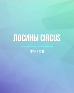 Купить Лосины CIRCUS #6,2 кг, ЛОТ №4326 оптом в Черкесске и Карачаево-Черкесской республике
