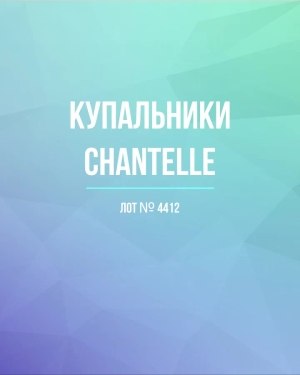 Купить Купальники Chantelle#23 шт, ЛОТ №4412 оптом в Черкесске и Карачаево-Черкесской республике