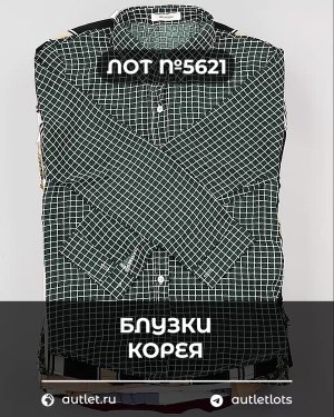 Купить Блузки Корея#20 шт, ЛОТ №5621 оптом в Черкесске и Карачаево-Черкесской республике