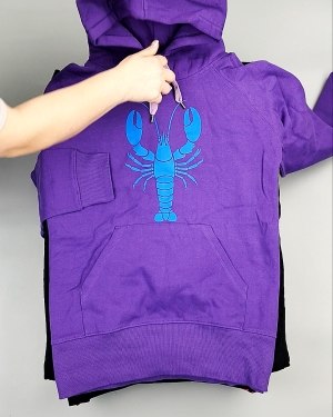 Фотография  975 - Толстовки м/ж (Sweat Tops)#20 кг, ЛОТ №7431 оптом в Черкесске и Карачаево-Черкесской республике