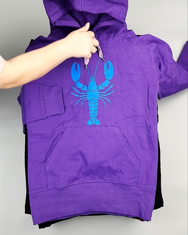 Фотография  986 - Толстовки м/ж (Sweat Tops)#20 кг, ЛОТ №7431 оптом в Черкесске и Карачаево-Черкесской республике