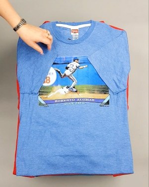 Фотография  545 - HOMAGE CAN 084#10 кг, ЛОТ №7499 оптом в Черкесске и Карачаево-Черкесской республике