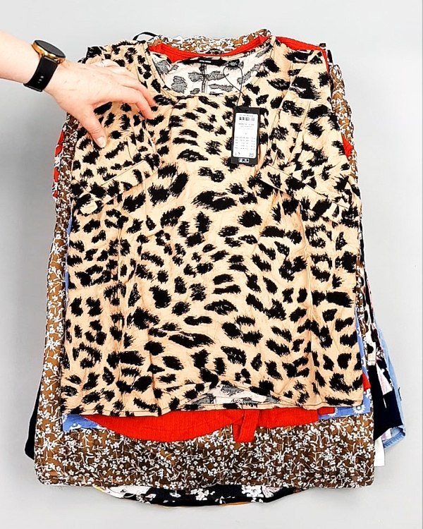 Фотография  774 - Блузки Bestseller 44#5 кг, ЛОТ №8026 оптом в Черкесске и Карачаево-Черкесской республике